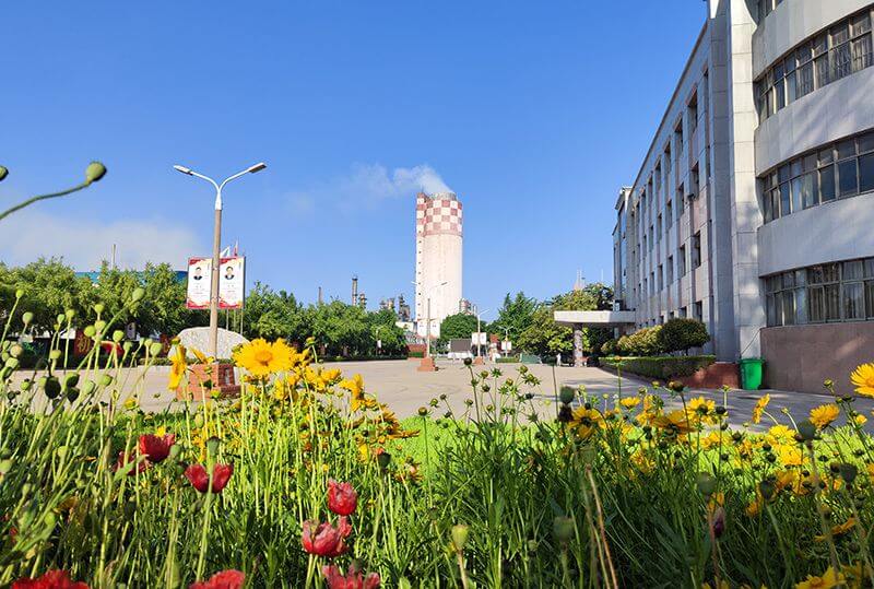 ���԰������˫�ߡ�ս��  ��Ӯ�����