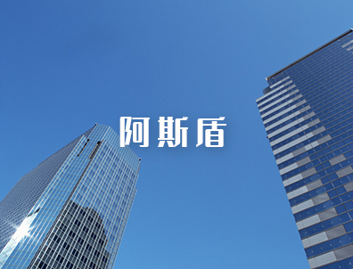 阿斯盾网站建设