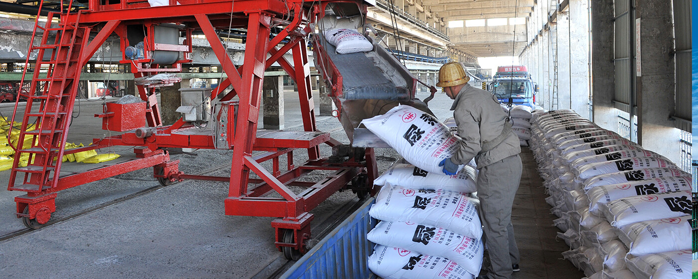 3��ֲִ�����